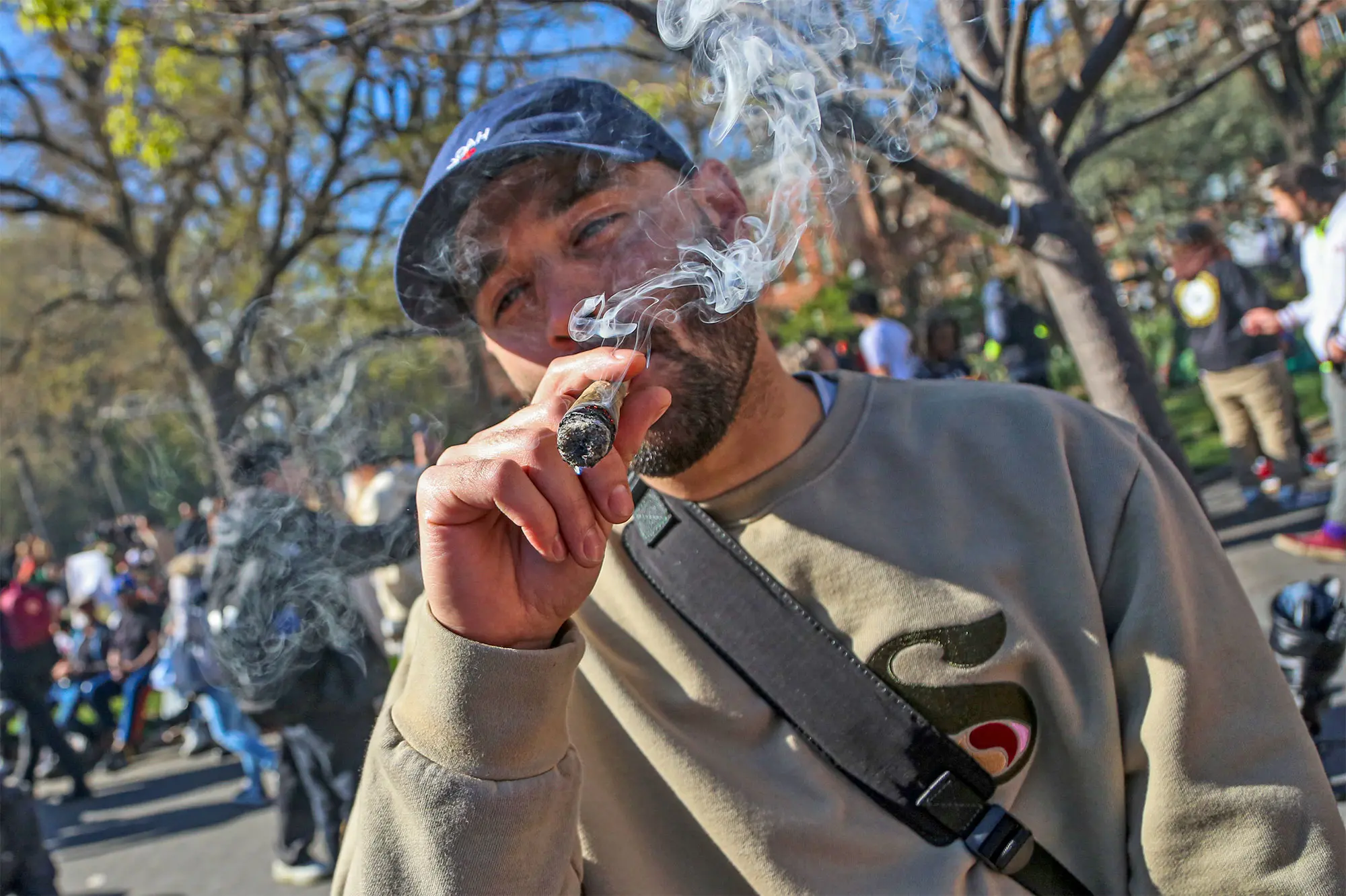 Peanut Butter Gelato Strain