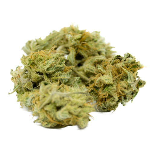indica-dominant-hybrid_1188020209 Girl Scout Cookies (GSC)