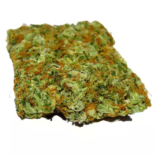 Jack Herer